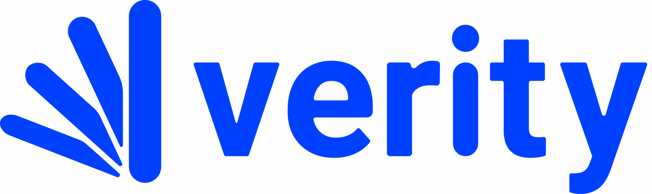 VRY_Logo_azul