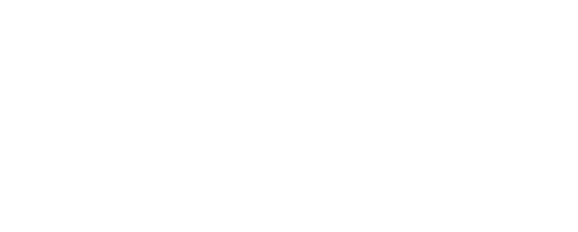 Lecom Experience