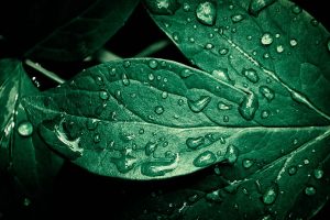 A-Noticia-Premio-Sustentabilidade-Inovacao1
